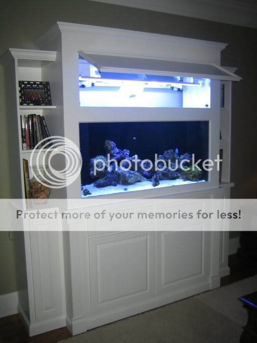 Photo by smithdu Photobucket